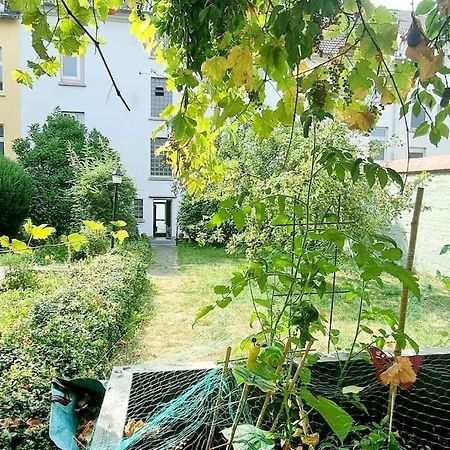 Schoene, Gemuetliche Wohnung, Voll Ausgestattet Wuppertal Eksteriør bilde