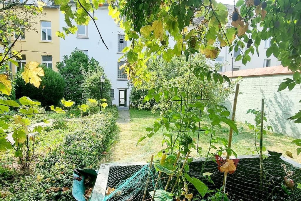 Schoene, Gemuetliche Wohnung, Voll Ausgestattet Wuppertal Eksteriør bilde