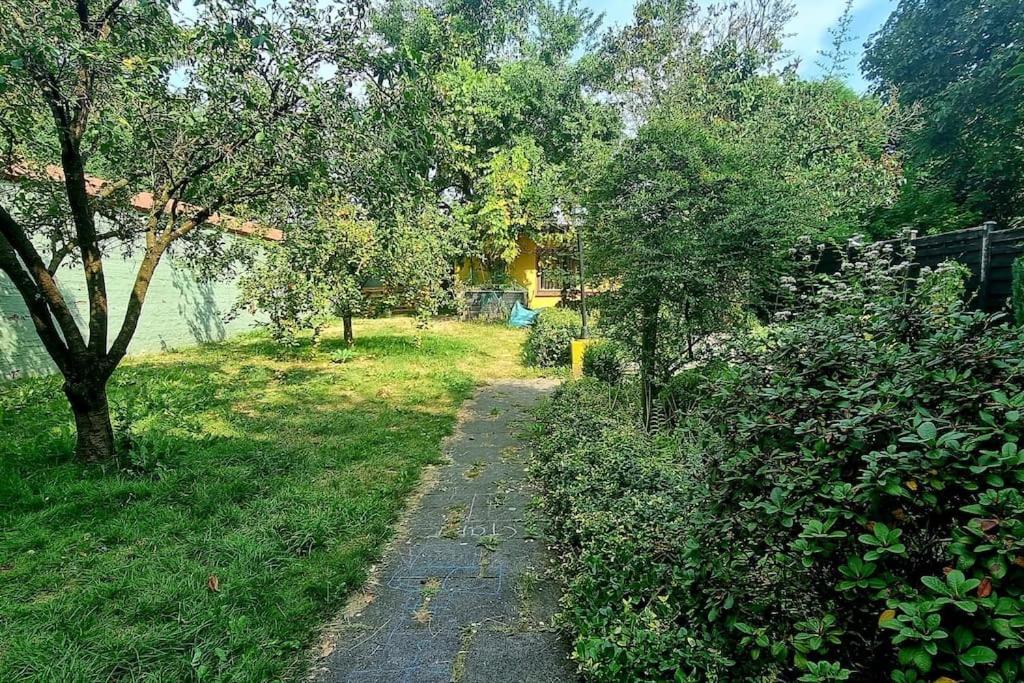 Schoene, Gemuetliche Wohnung, Voll Ausgestattet Wuppertal Eksteriør bilde